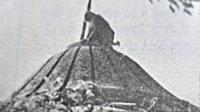 A monkey sitting on a dome of the Babri masjid. Credit: X/@Jawadhussain22